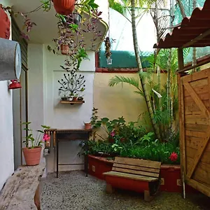 https://my-local-home-vallarta.hotelspuertovallarta.org